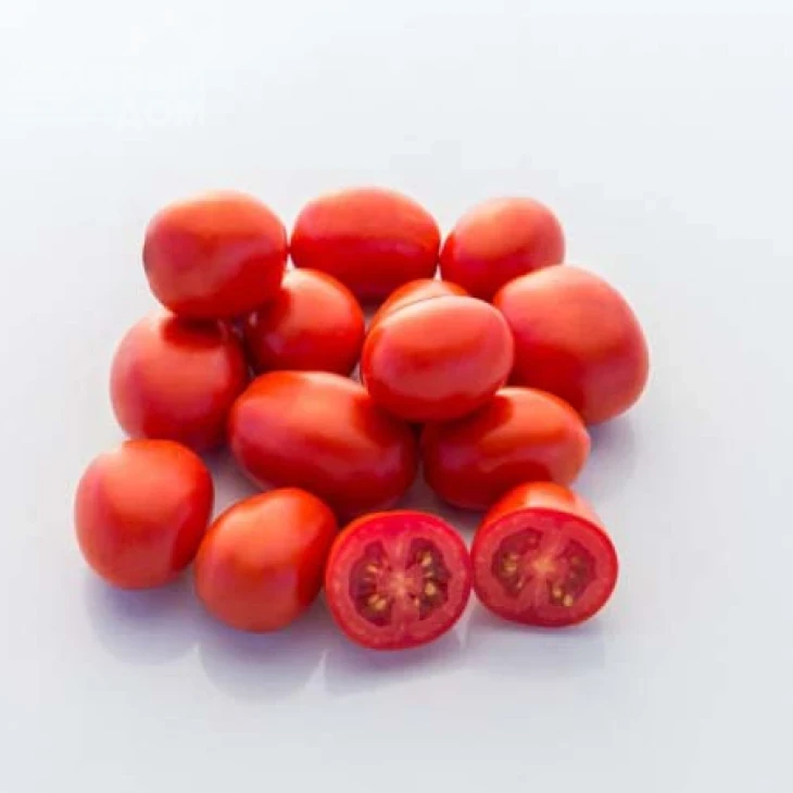 1301 F1 / 1301 F1 фото 3