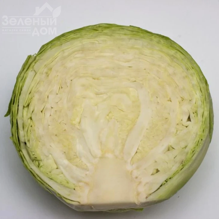 Ритейл F1 / Retail F1, 120-130 дней фото 2