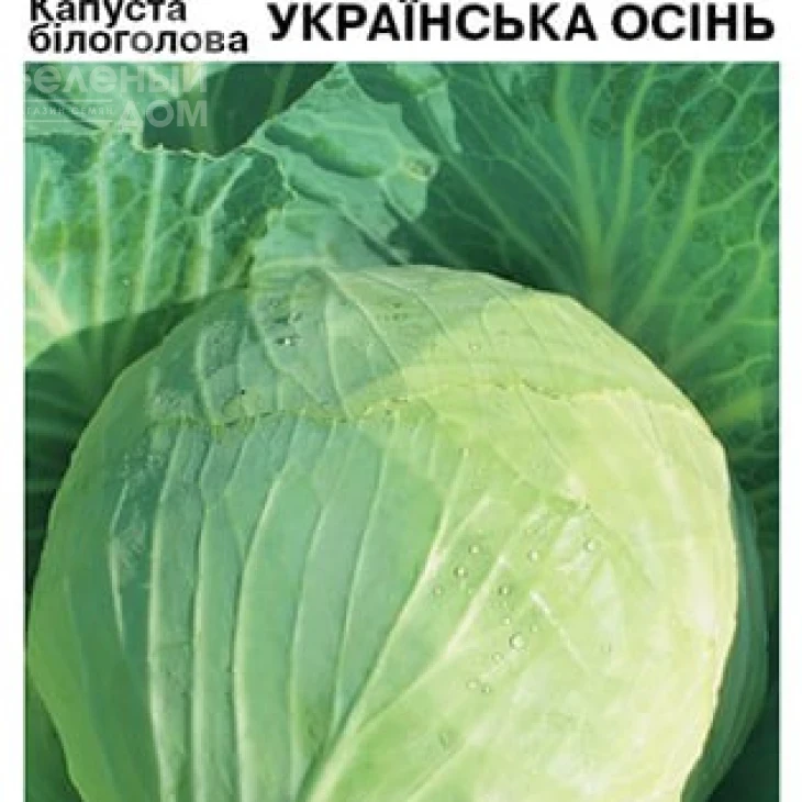 Украинская осень / Ukrainskaya osen фото 2