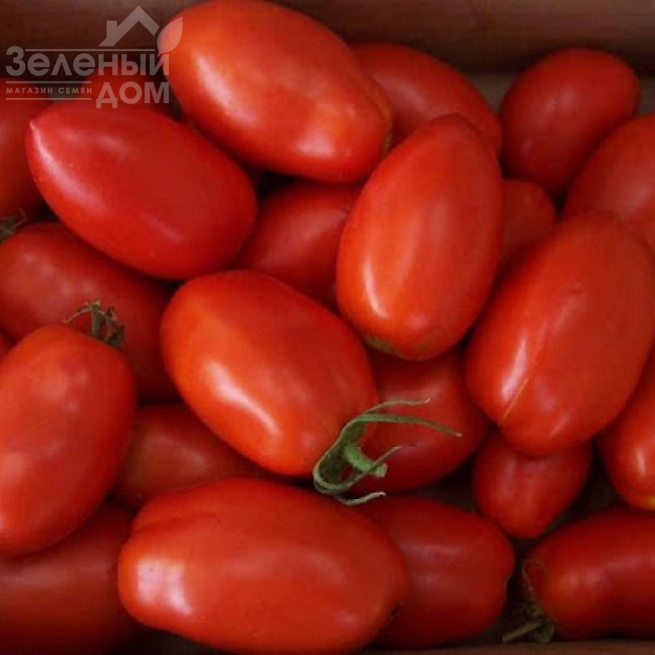 Ред Скай F1 / Red Sky F1,100-110 днів фото 1