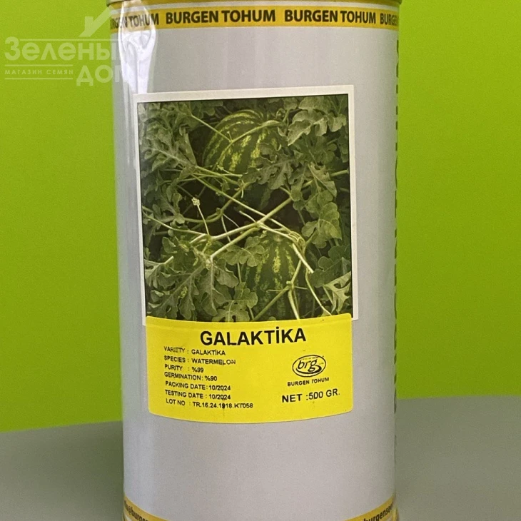 Галактика / Galaktika,63-65 дней фото 1