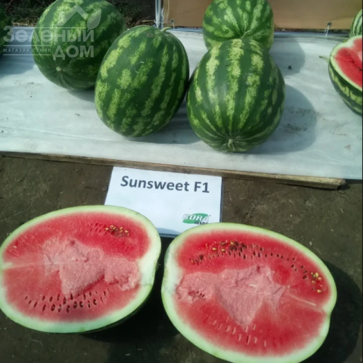 Сансвит F1 / Sunsweet F1 фото 2