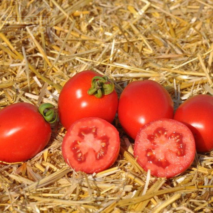 Чезена F1 / Chezena F1, 85-95 днів фото 1