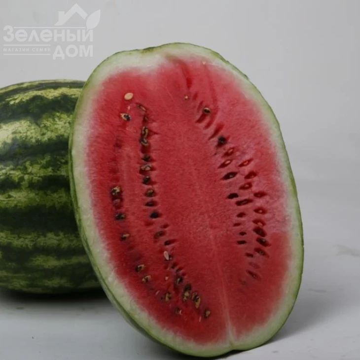 ЛС 1810 F1 / LS 1810 F1  фото 2