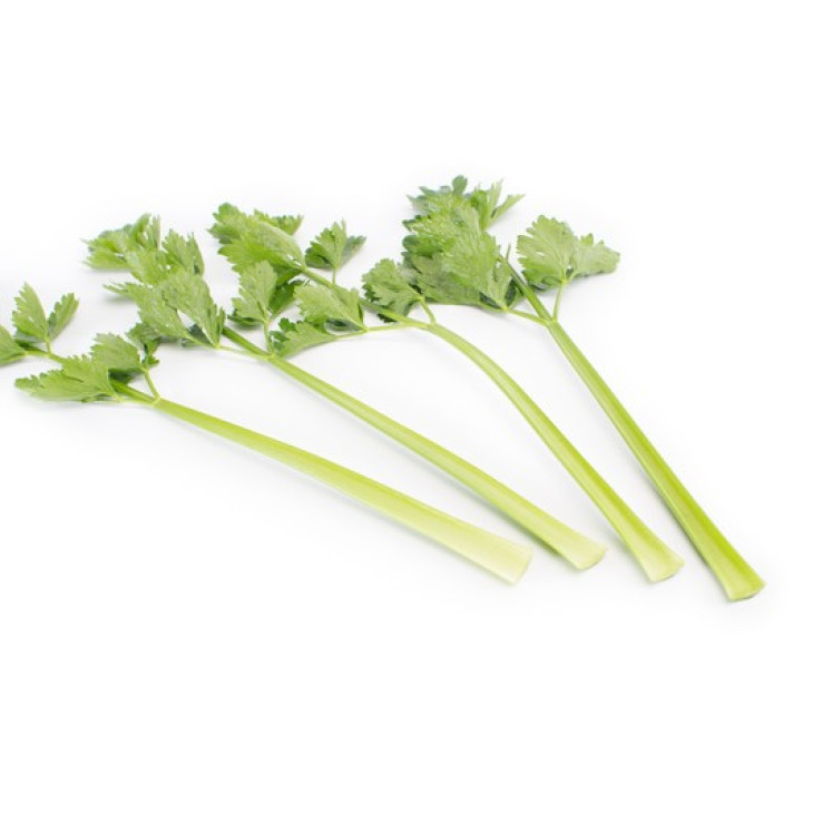 Келвін / Kelvin,140 днів фото 3