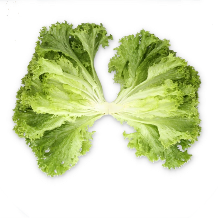 Лиадин / Liadine фото 2