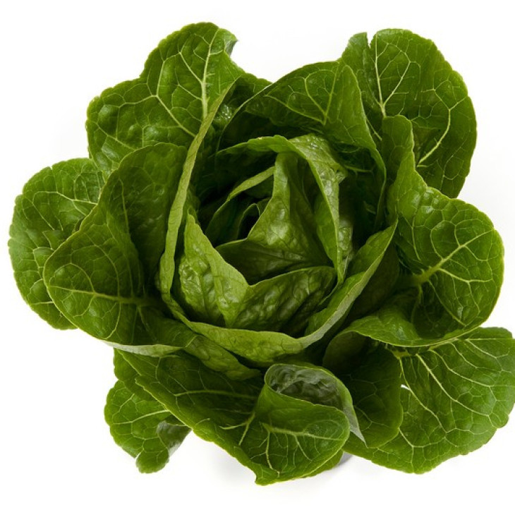 Рафаель / Rafael фото 1