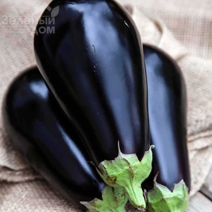 Перфекшн F1 / Perfection F1 фото 1