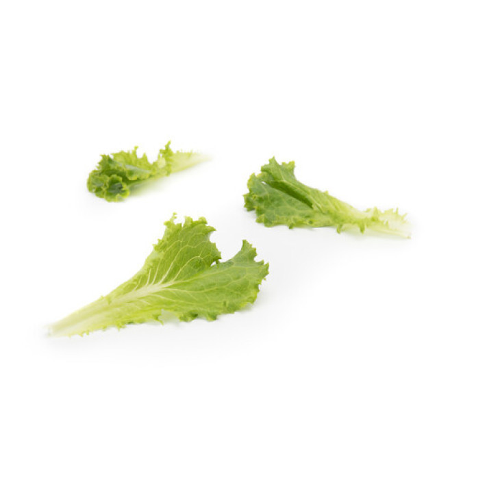 Култхард / Coulthard фото 1