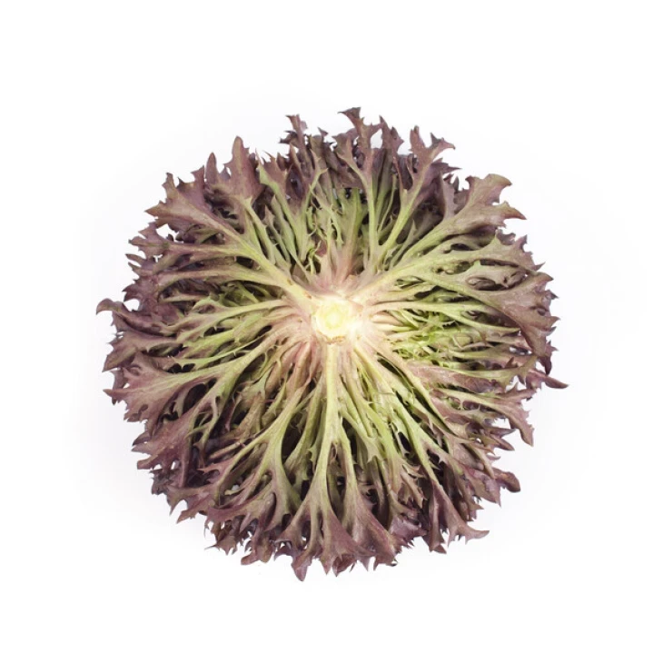 Триплекс / Triplex фото 3