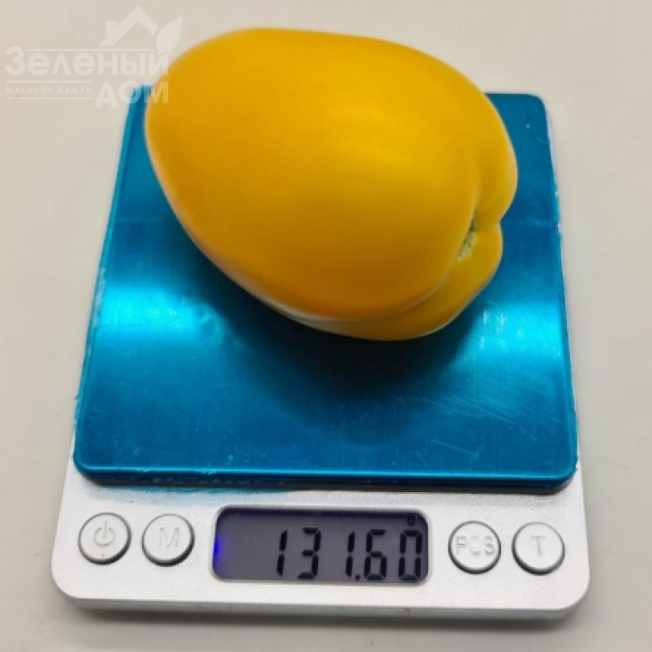 КС 221 F1 / KS 221 F1 фото 2