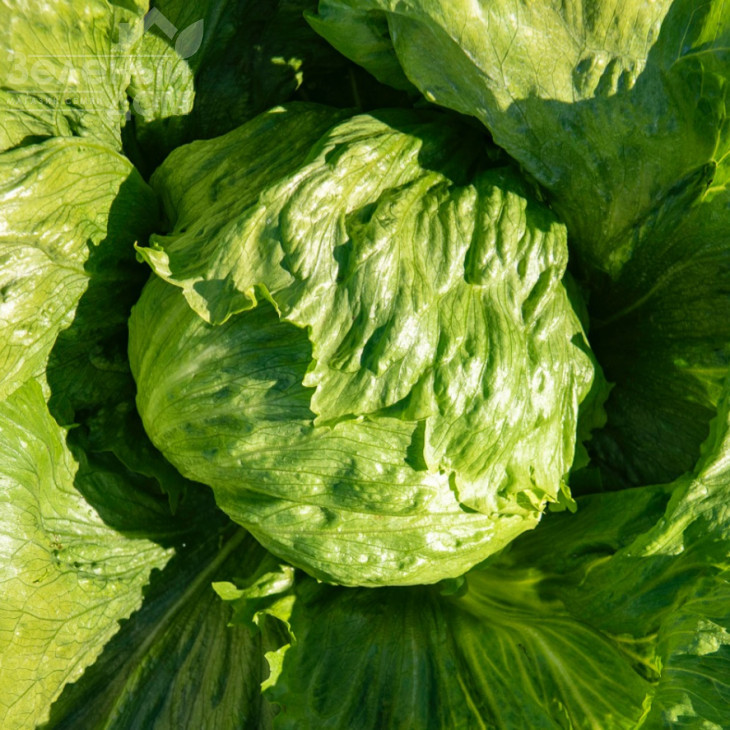 Даніло / Danilo фото 2