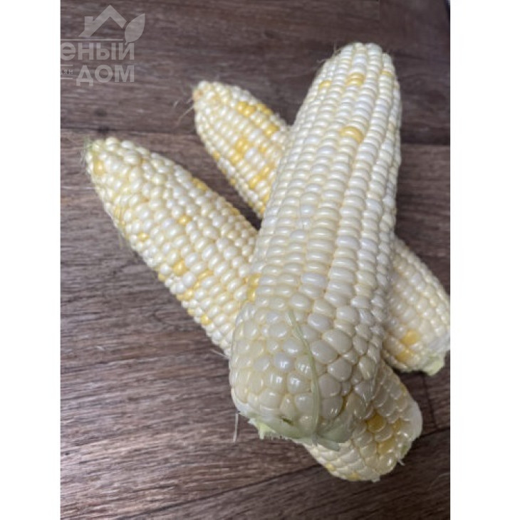 Айрон F1 / Ayron F1, 74 дні фото 8