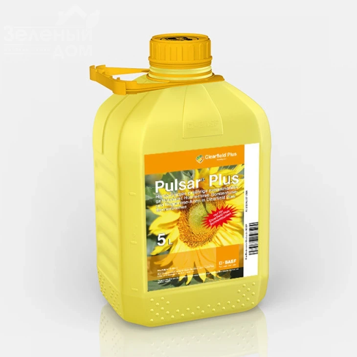 Пульсар Плюс / Pulsar Plus, РК фото 1