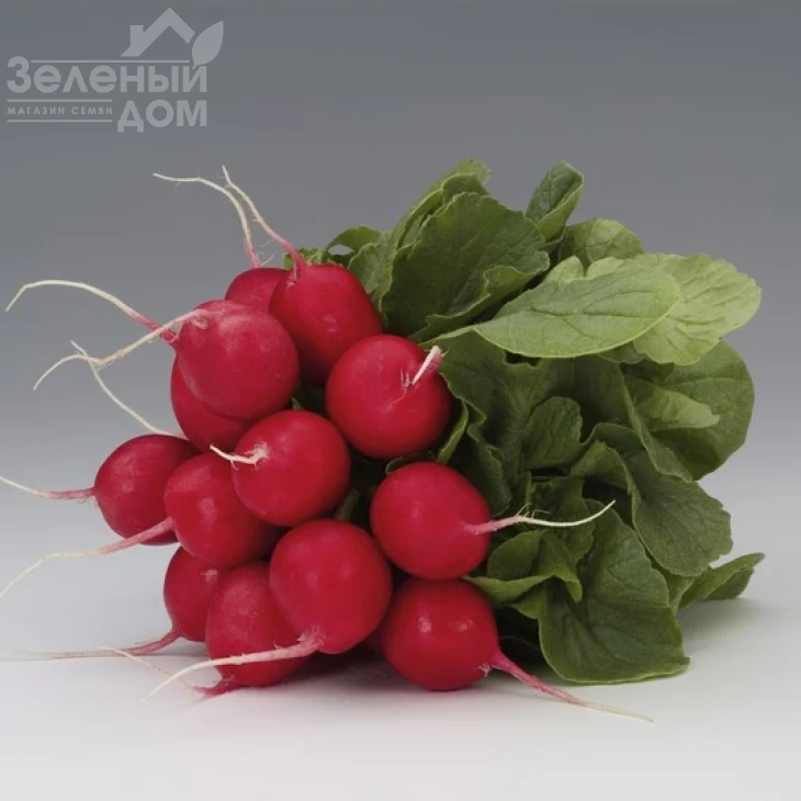 Мондиал F1 / Mondial F1,25-30 дней фото 1