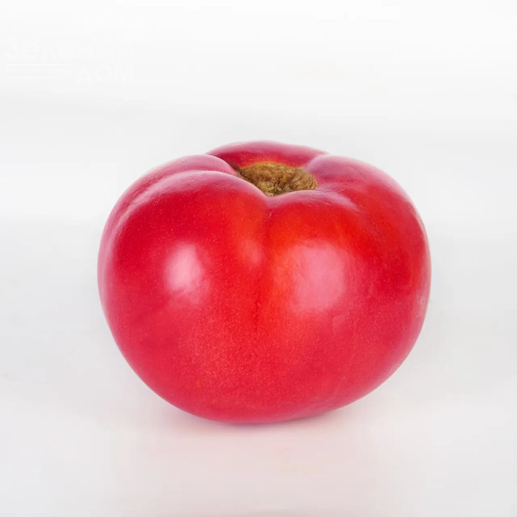 Барселона F1 / Barselona F1, 65-70 днів фото 1