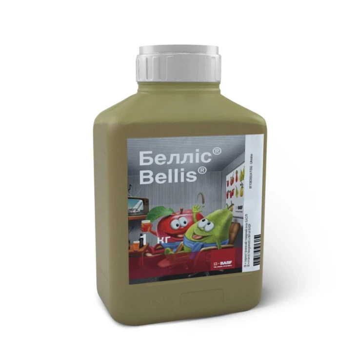 Беллис / Bellis,ВГ фото 2