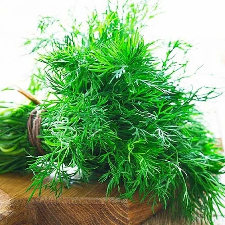 Тетра / Tetra  фото 1