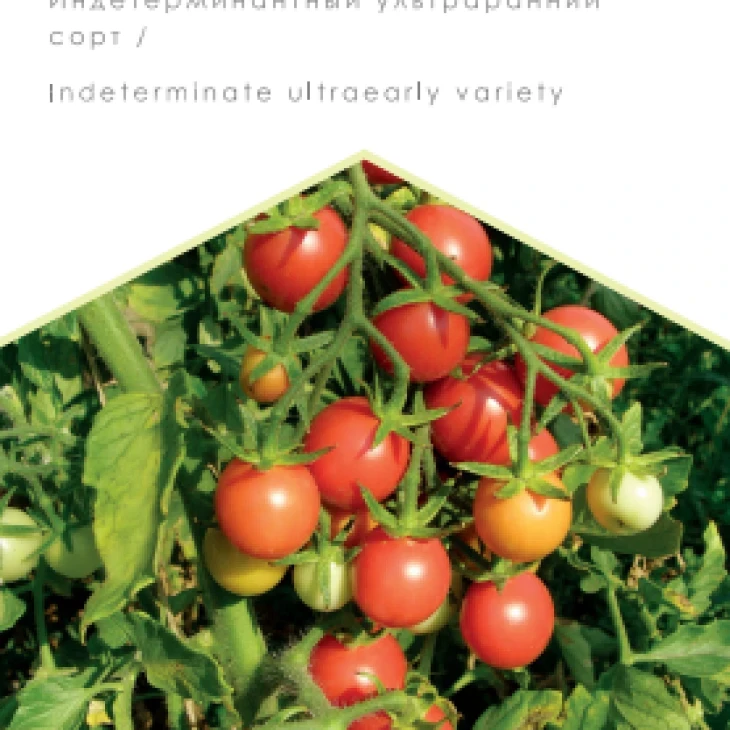 Колибри / Kolibry, 80-85 дней фото 1