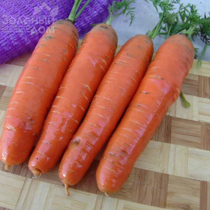 Фаворит / Favorit,140-150 дней фото 1