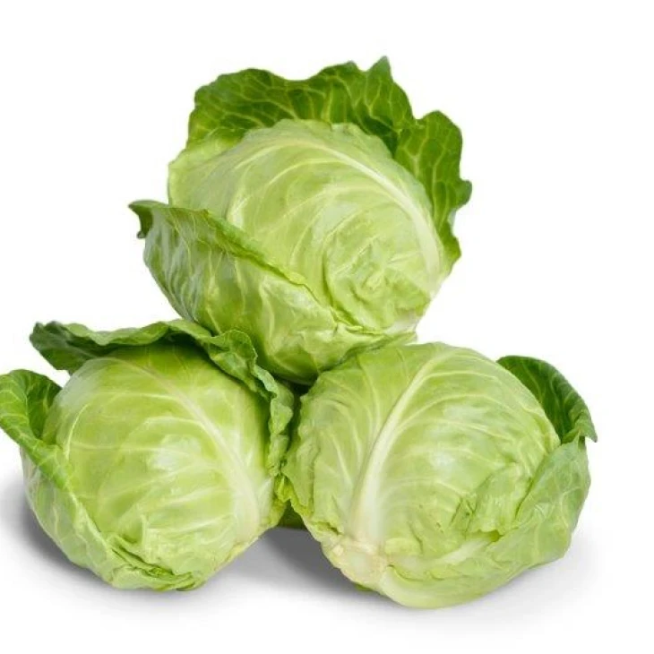 Глобус F1 / Globus F1,48-53 дня фото 1