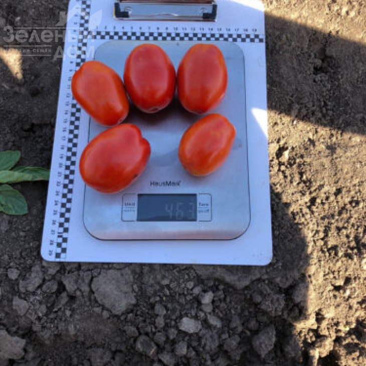 9985 F1 / 9985 F1, 120 днів фото 2