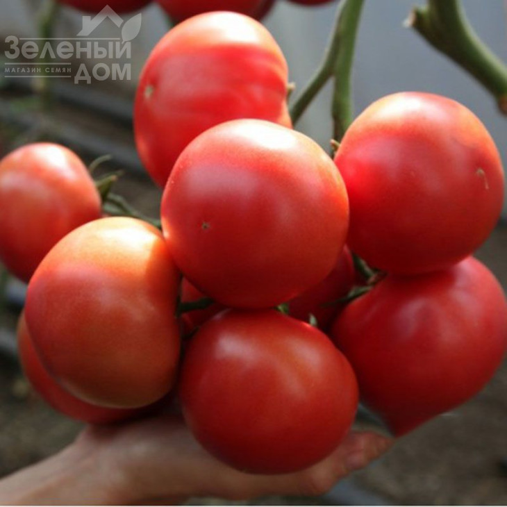 КС 311 F1 / KS 311 F1 фото 2