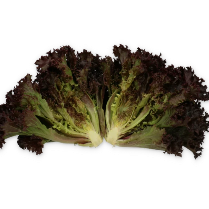 Скамандер / Scamander фото 3