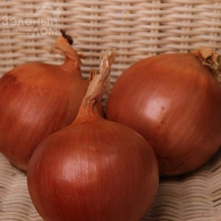 Флагман F1 / Flagman F1, 105-115 днів фото 1