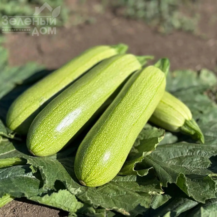 Фенді F1 / Fendi F1  фото 1