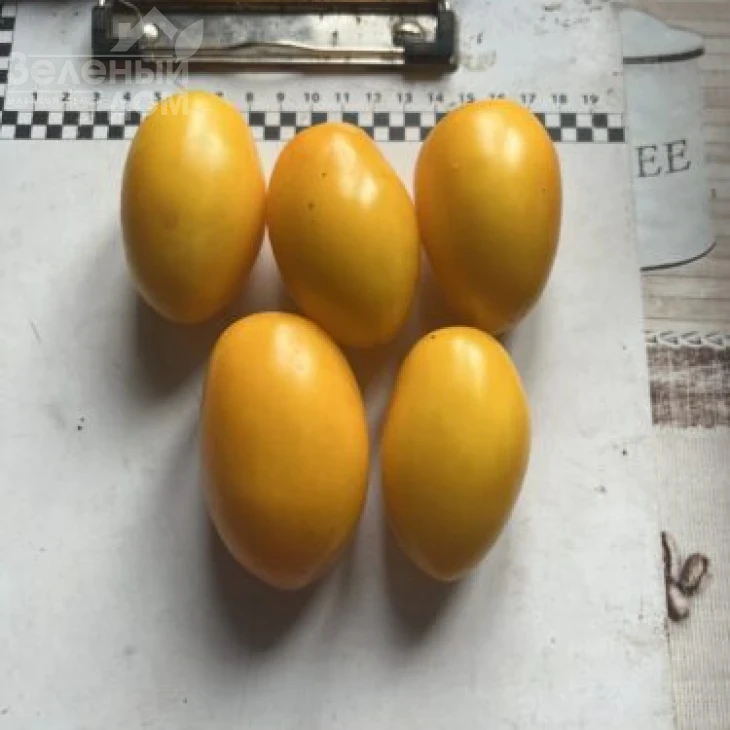 Еллоу Плам F1 / Yellow Plam F1,100 дней фото 2