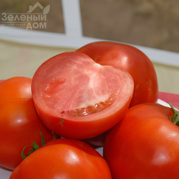 Бобкат F1 / Bobcat F1,60-65 днів фото 2