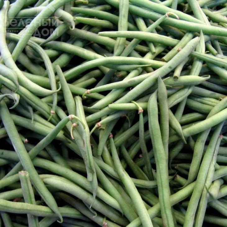 Ламбадо / Lambado ,60 днів фото 1