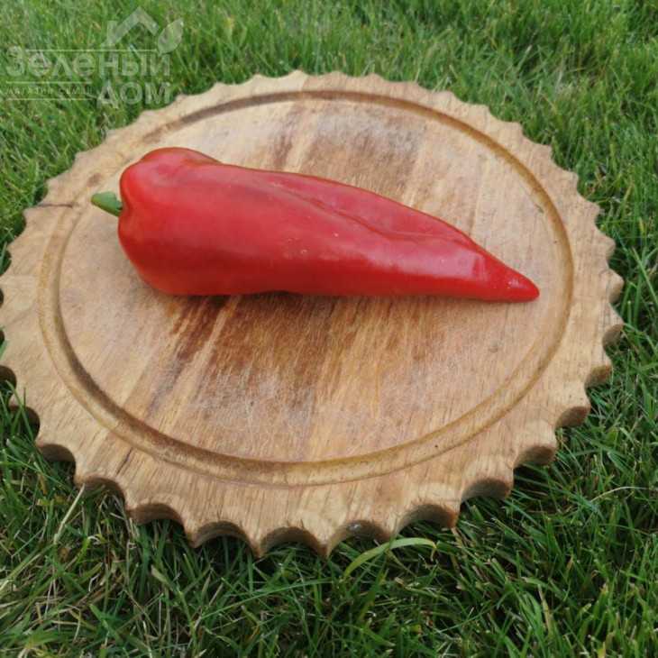 Магус F1 / Magush F1 ,60-65 днів фото 1