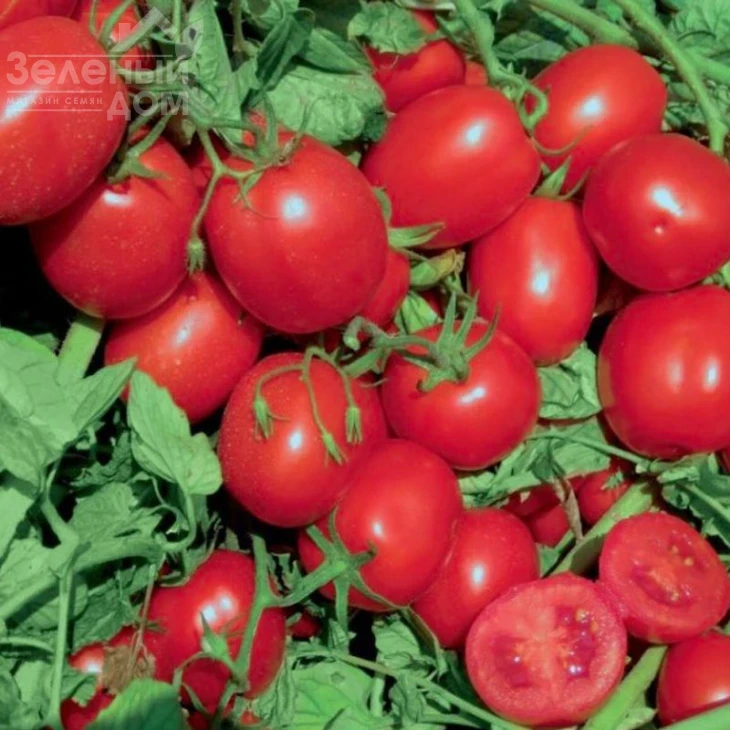 ЮГ 812 F1 / UG 812 F1,98 дней фото 1