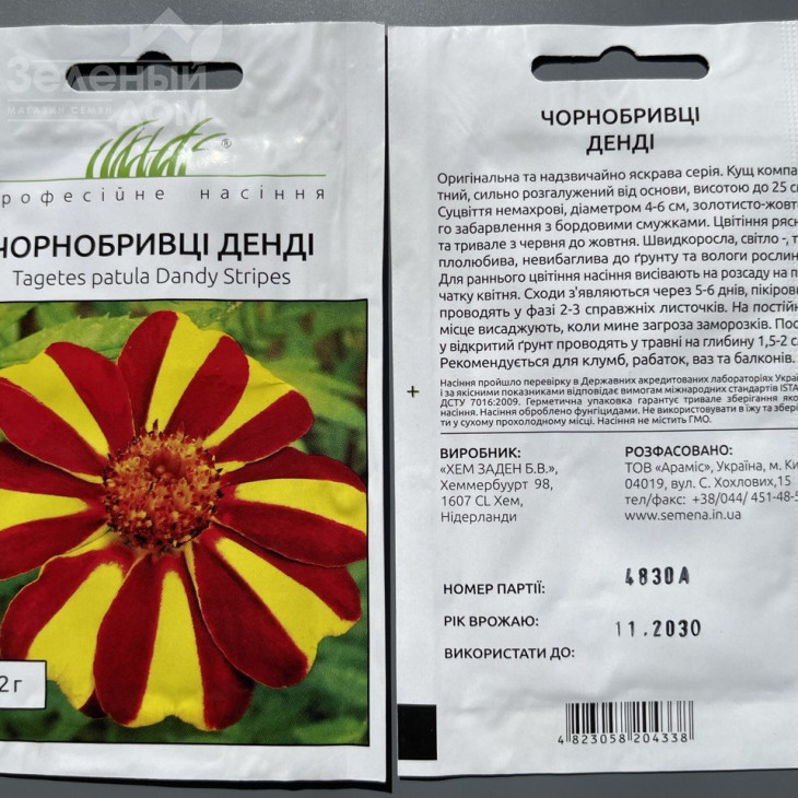 Чорнобривці Денді фото 1