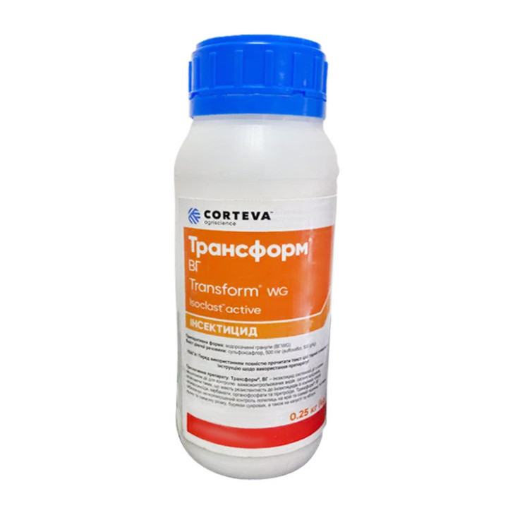 Трансформ ВГ / Transform WG фото 1