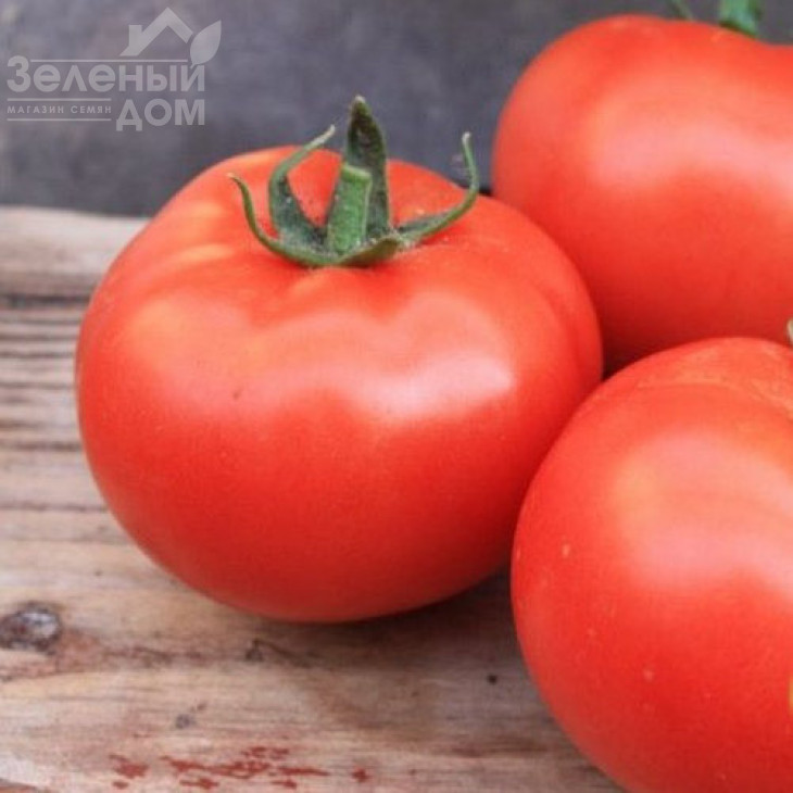 Хіларіо F1 / Hilario F1,90-100 днів фото 1