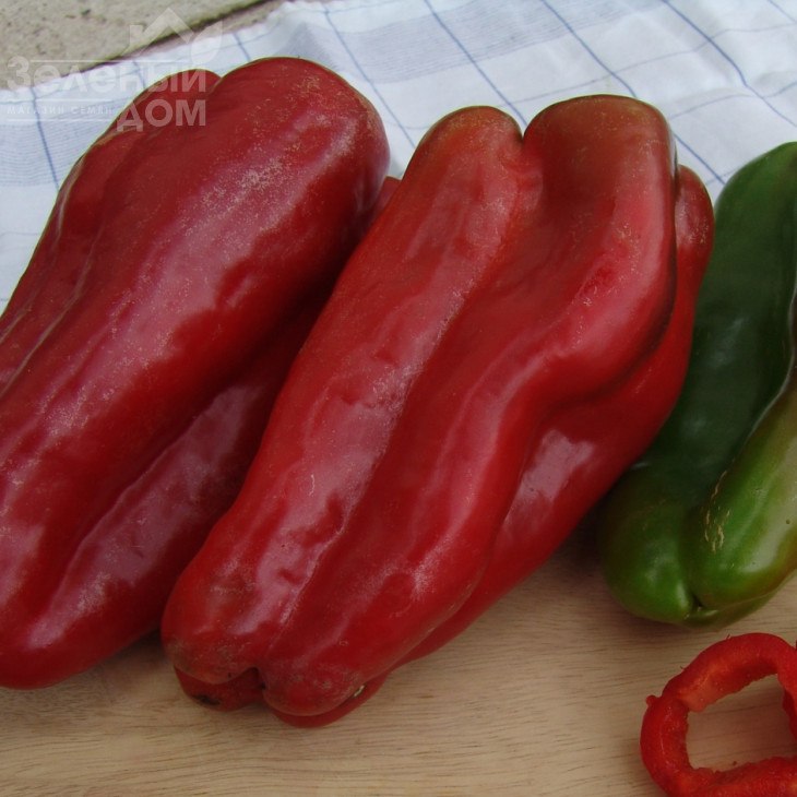 Фатіма / Fatima фото 1