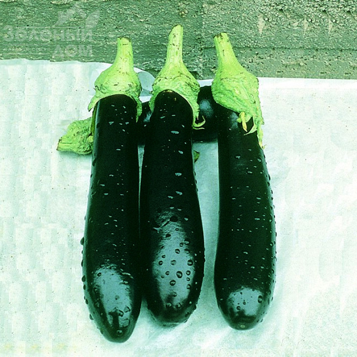 Валентина F1 / Valentina F1,80-85 днів фото 1