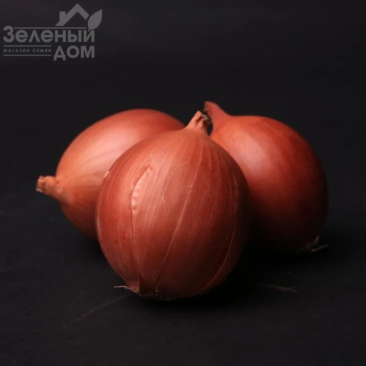 Доккер F1 / Dokker F1 фото 1