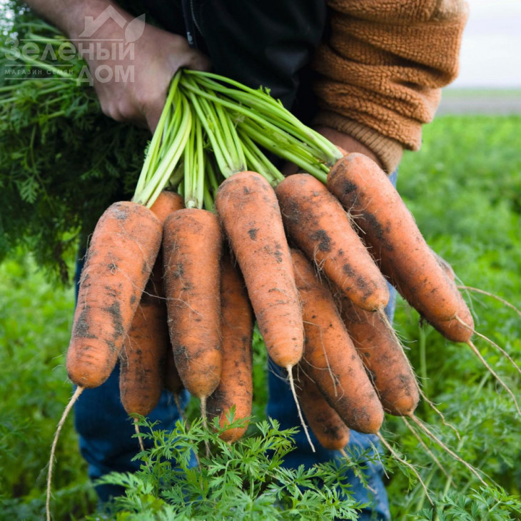 Кардіф F1 / Cardiff F1,135 днів фото 1