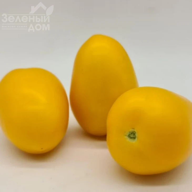 КС 221 F1 / KS 221 F1 фото 3