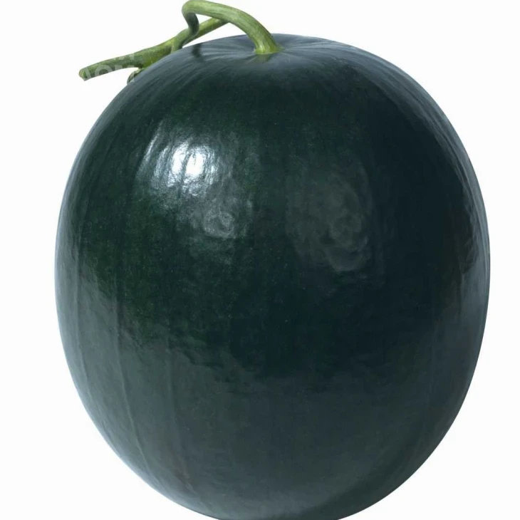 Блэк Хироу F1 / Black Hero F1 фото 1