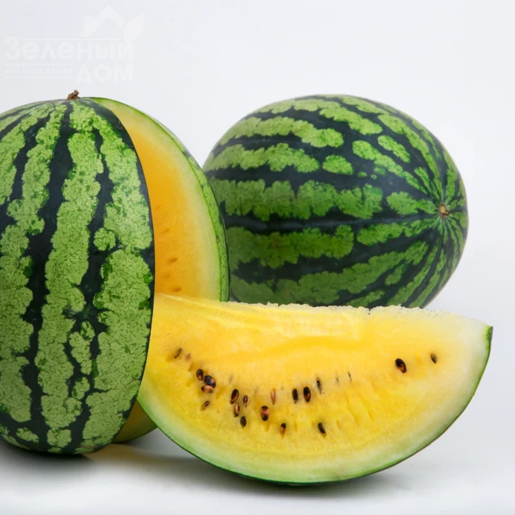 Покемон (LS 1809) F1 / Pokemon (LS 1809) F1 фото 2