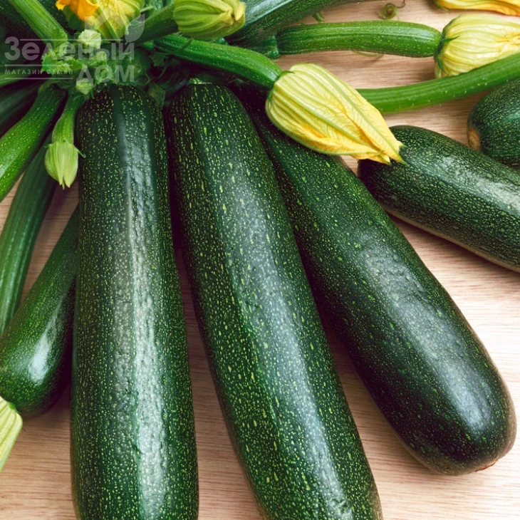 Стартгрин F1 / Startgreen F1,40-45 дней фото 1