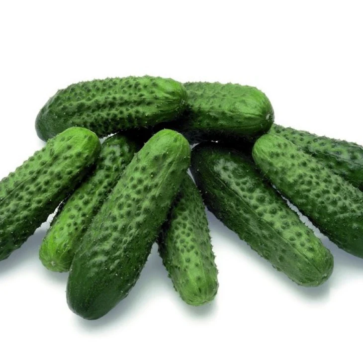 Престо F1 / Presto F1,45 дней фото 1