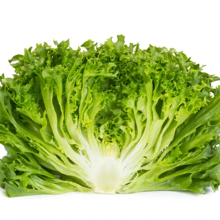 Дюнан / Dunand фото 2