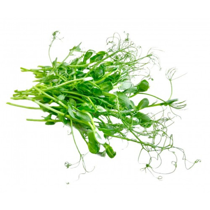 Мікрогрін Горох / Microgreen Gorokh фото 1