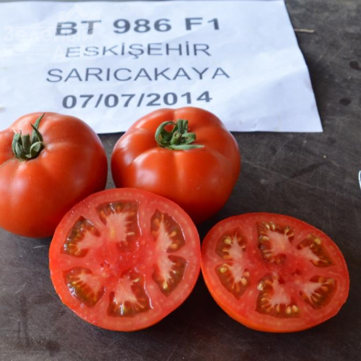 БТ 986 F1 / BT 986 F1,65-70 днів фото 1